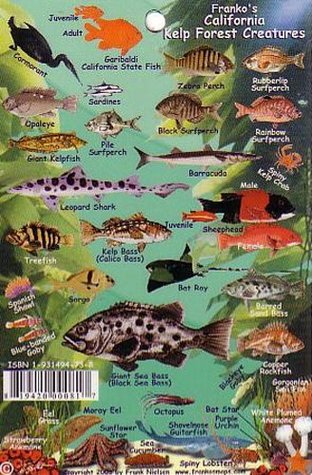 Download California Kelp Forest Creatures Guide Franko Maps Laminated Fish Card 4 x 6 - Franko Maps Ltd. | PDF
