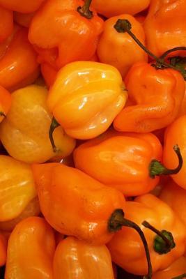 Read Online Fresh Habanero Chili Peppers Journals: 150 Page Lined Notebook/Diary -  file in ePub