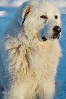Download Handsome Great Pyrenees Dog Journal: Take Notes, Write Down Memories in This 150 Page Lined Journal -  | PDF
